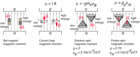 ../../../_images/Fig_Hardware_NMR_espines_en_B.png