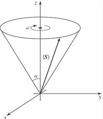 ../../../_images/Fig_Harware_NMR_precession_griffiths.png